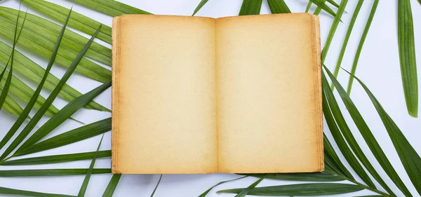 Livro Antigo Aberto Com Folhas Palma Tropicais Fundo Branco Conceito — Fotografia de Stock