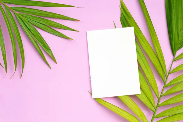 Papel Branco Com Folhas Palma Tropicais Sobre Fundo Rosa Espaço — Fotografia de Stock