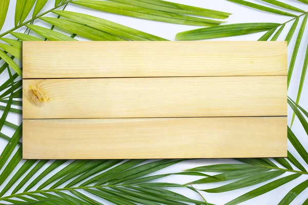 Wood space on tropical palm leave on white background.  Summer background concept
