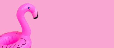 Flamingo, pembe arka planda şişme yüzme havuzu..