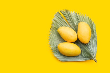 Tropik meyve, sarı arka planda mango..