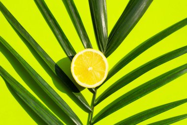 Yeşil arka planda tropikal palmiye yaprakları üzerinde limon.