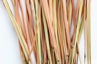 Beyaz arkaplanda kuru limon otu.