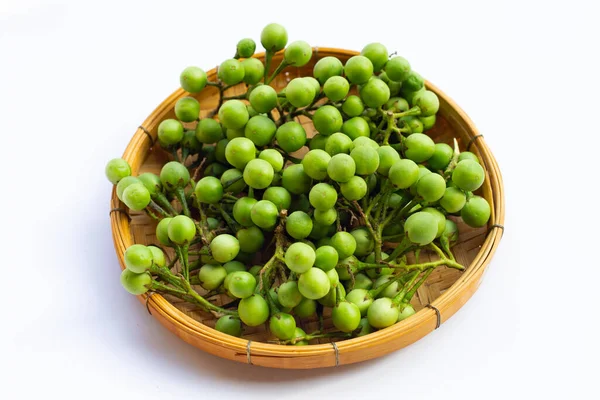 Turkey Berry Isolated White Background — Stock Photo, Image