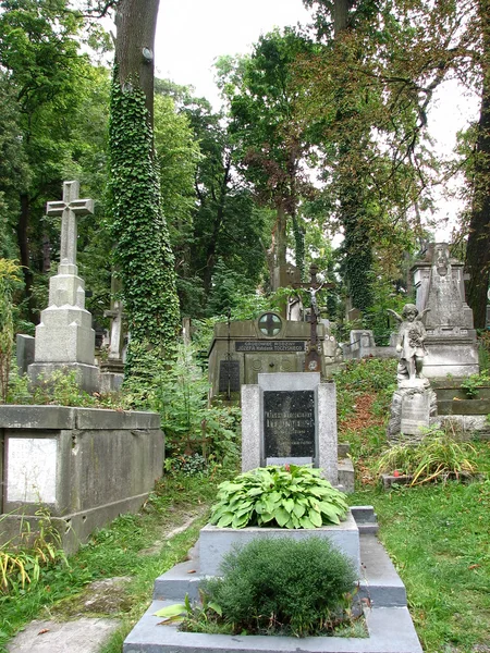 eski mezarlığın içinden yürümek