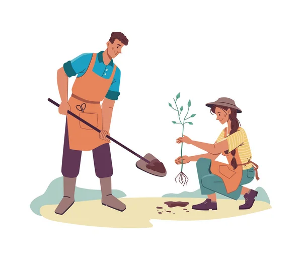 Un par de jardineros plantando árboles. Hombre, mujer pala — Vector de stock