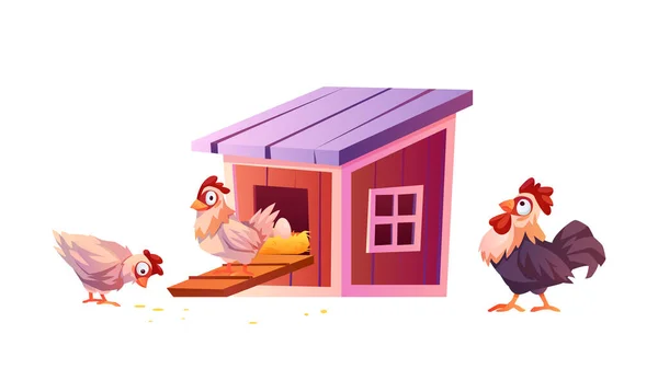 Pollaio, pollaio, galli dei cartoni animati hencoop — Vettoriale Stock