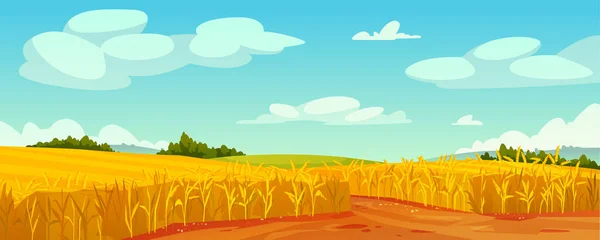 Field of ripe yellow wheat and blue sky landscape — Stock Vector