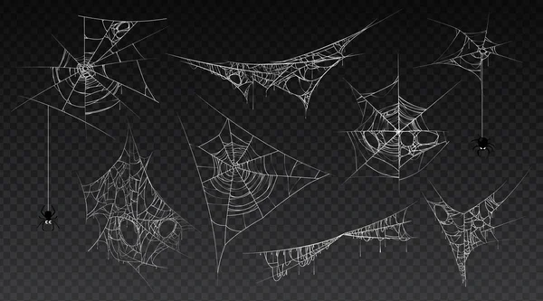 Halloween web dengan menggantung laba-laba serangga vektor - Stok Vektor