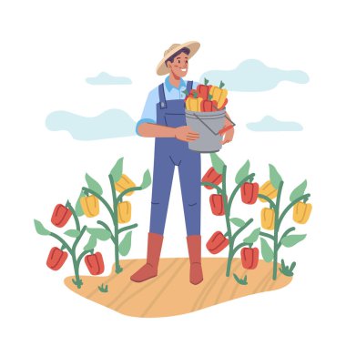 # Çiftçi biberle toprağı işliyor #