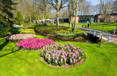 Keukenhof Çiçek Bahçesi