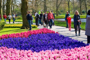 Keukenhof Çiçek Bahçesi