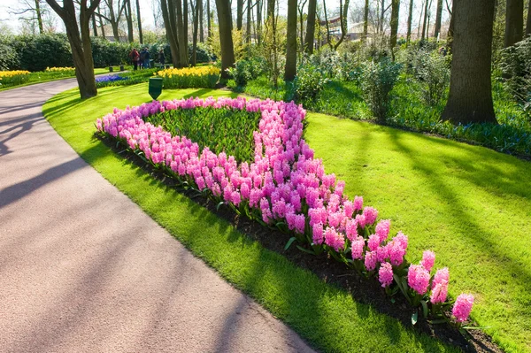 Keukenhof květinové zahrady — Stock fotografie