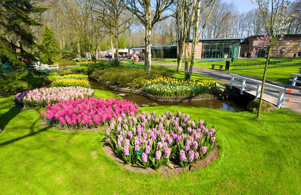 Keukenhof květinové zahrady — Stock fotografie