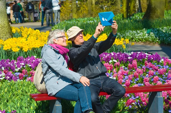 Blomsterträdgården keukenhof — Stockfoto