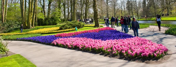 El jardín de flores keukenhof — Foto de Stock