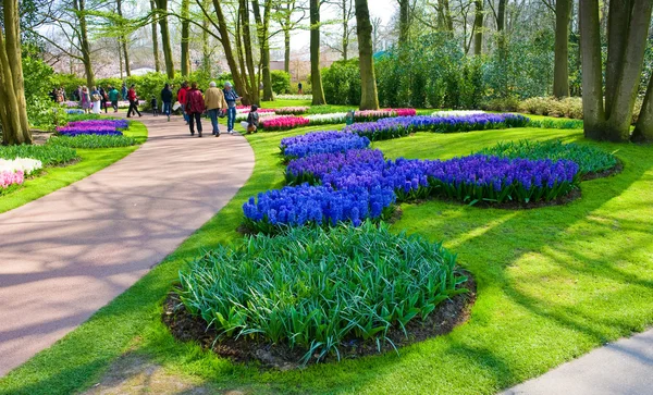 El jardín de flores keukenhof — Foto de Stock