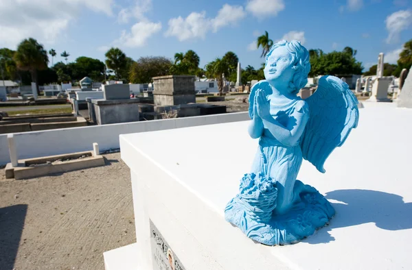 Key West Cemetery — Stockfoto