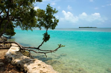 Florida Keys Seaside