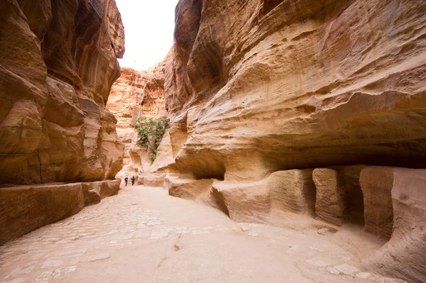 Petra in Jordan — Stock Photo, Image