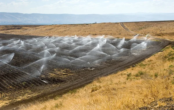 Irrigation en Israël — Photo