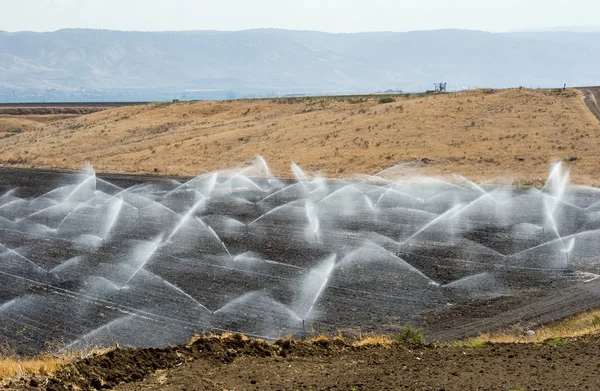 Irrigation en Israël — Photo