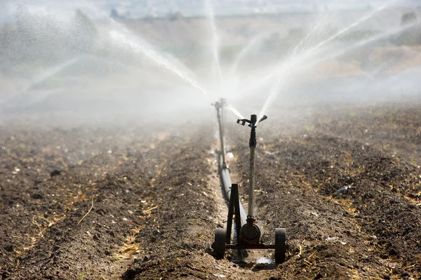 Irrigação em Israel — Fotografia de Stock