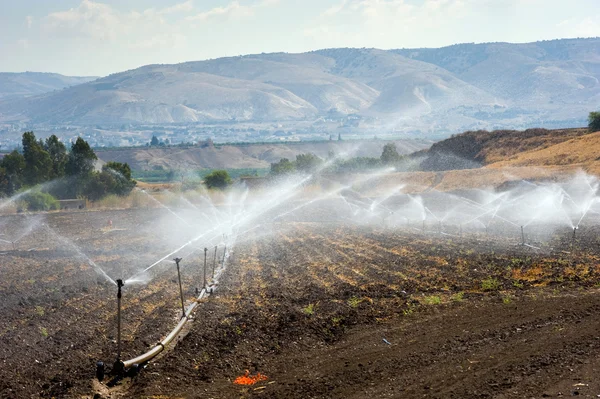 Bewässerung in Israel — Stockfoto