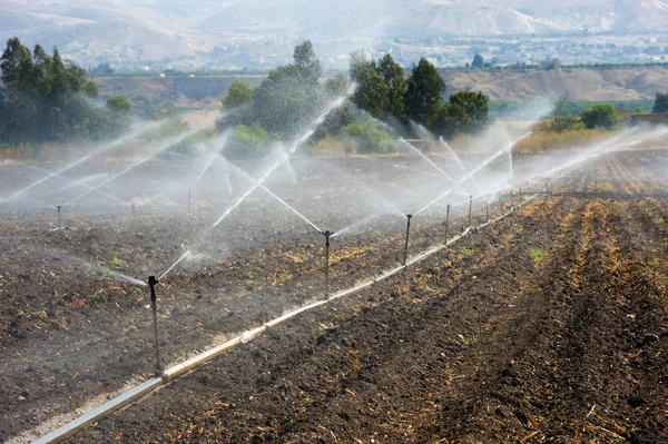 Bewässerung in Israel — Stockfoto