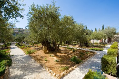 Bahçe gethsemane in