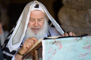 Reading the Torah clipart