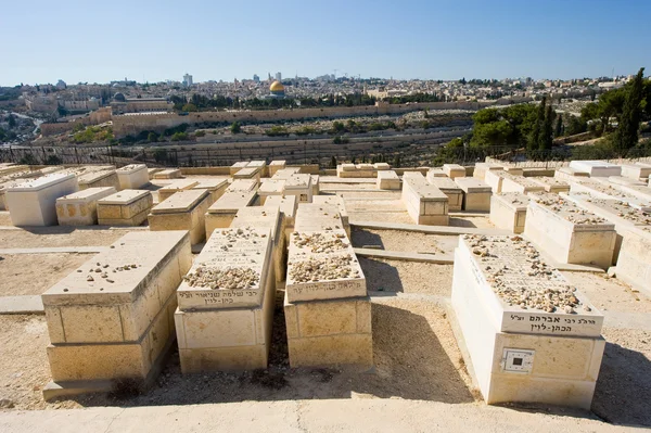 Mount of olives — Stock Photo, Image