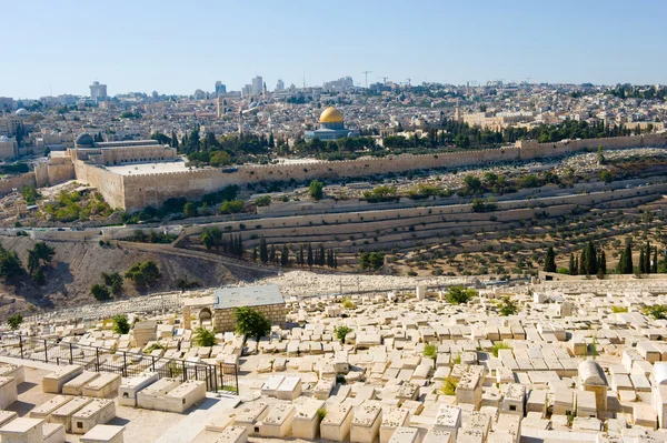 Mount of olives — Stock Photo, Image