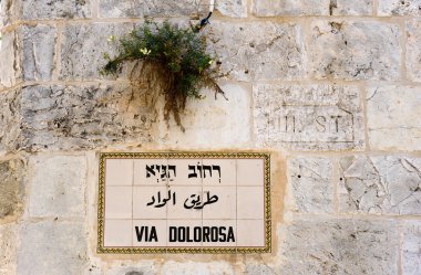 Dolorosa