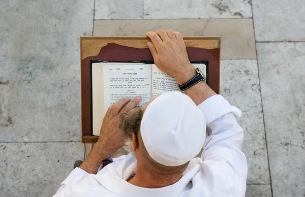 Torah okunuyor — Stok fotoğraf