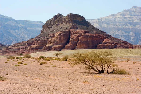 Timna Parkı — Stok fotoğraf