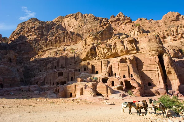 Petra w Jordanii — Zdjęcie stockowe