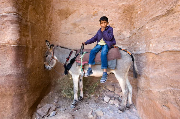 Boy on donkey — Stock Photo, Image