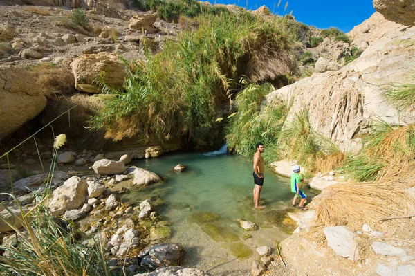 Ein gedi — Fotografia de Stock