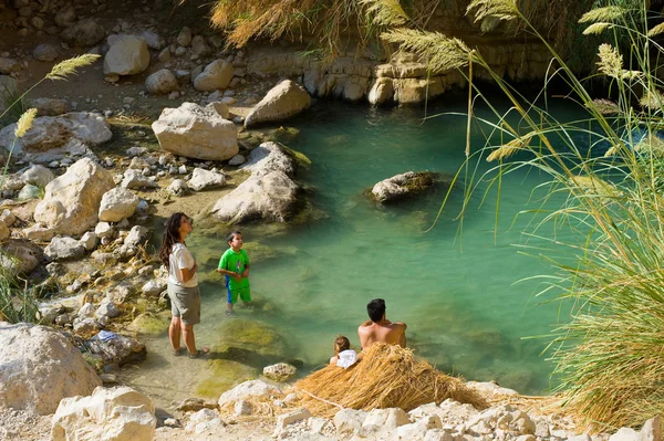 Ein Gedi — Stock Photo, Image