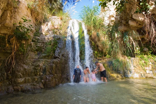 Ein Gedi — Stock Photo, Image