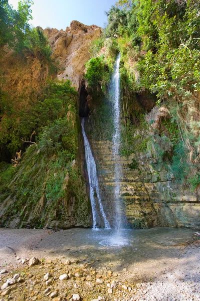 Ein gedi Stok Resim