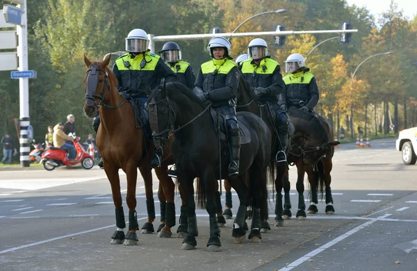 Policía a caballo — Foto de Stock