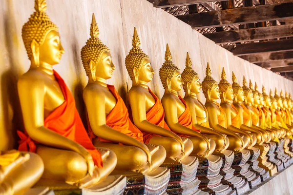 Buda Tapınağı Ayuttaya il Tayland at — Stok fotoğraf