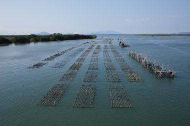 Balık köprü Laem Sing Chanthaburi, Tayland kafesleri