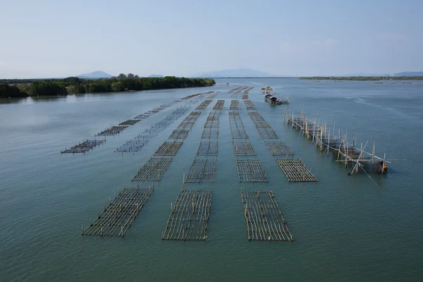 Cages à poissons Pont Laem Sing Chanthaburi, Thaïlande — Photo