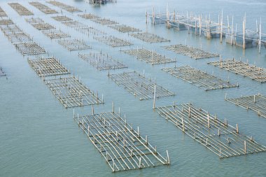 Balık köprü Laem Sing Chanthaburi, Tayland kafesleri