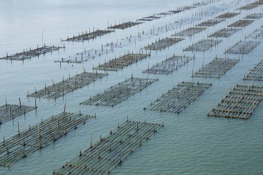 Balık köprü Laem Sing Chanthaburi, Tayland kafesleri