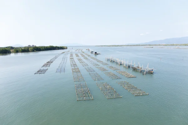 Cages à poissons Pont Laem Sing Chanthaburi, Thaïlande — Photo