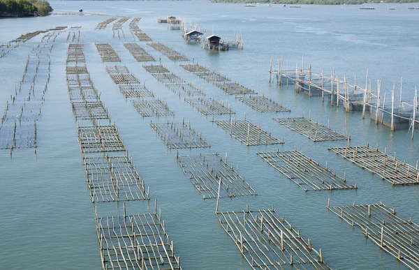 Jaulas de peces Puente Laem Sing Chanthaburi, Tailandia — Foto de Stock